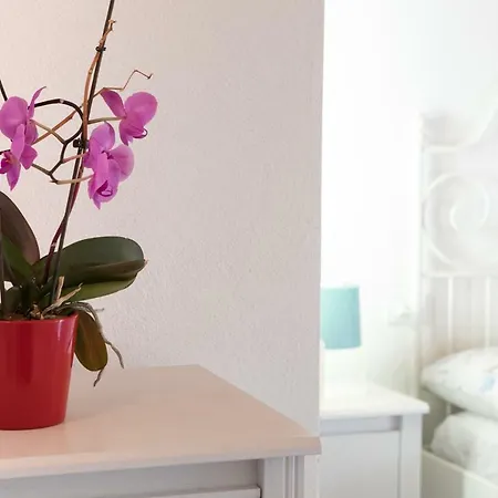 Lägenhet Appartamenti Relax Nus *