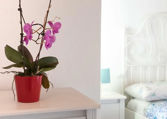 Apartment Appartamenti Relax Nus *